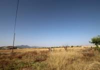 Resale - Country House - Torre Del Rico - Rural location