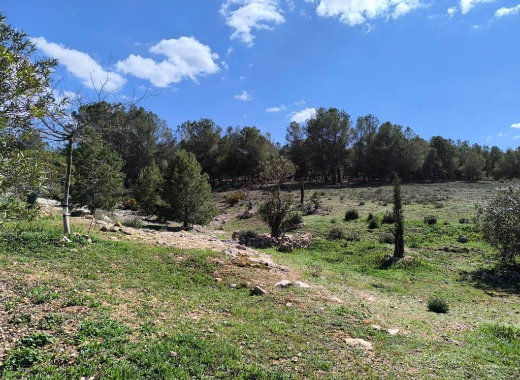 Resale - Country House - Villena - Rural location