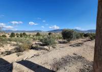 Resale - Country House - Villena