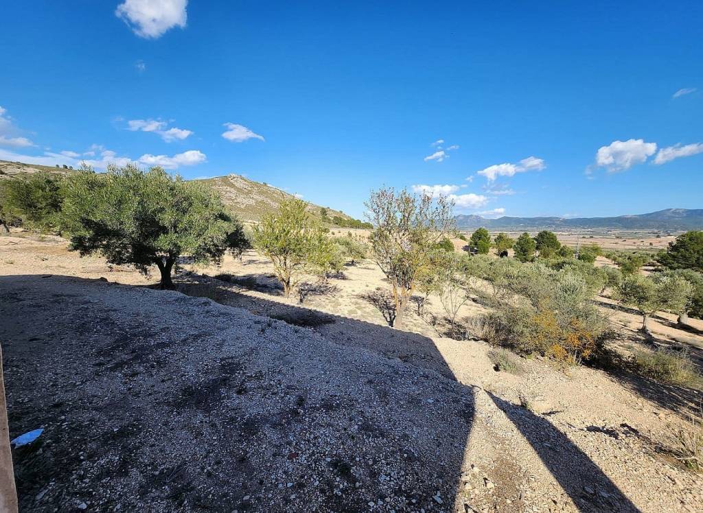 Resale - Country House - Villena