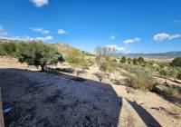 Resale - Country House - Villena