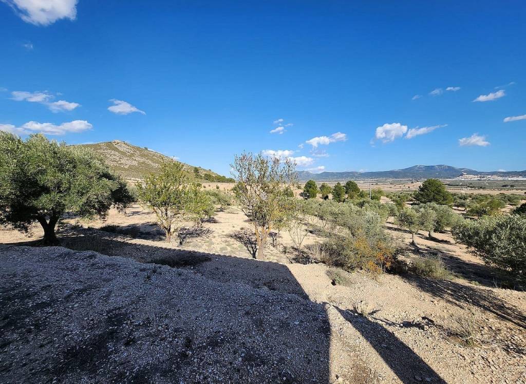 Resale - Country House - Villena