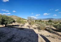 Resale - Country House - Villena