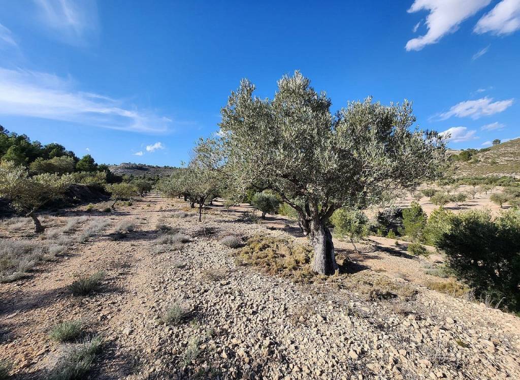 Resale - Country House - Villena