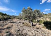 Resale - Country House - Villena