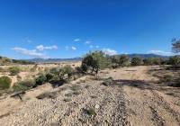 Resale - Country House - Villena