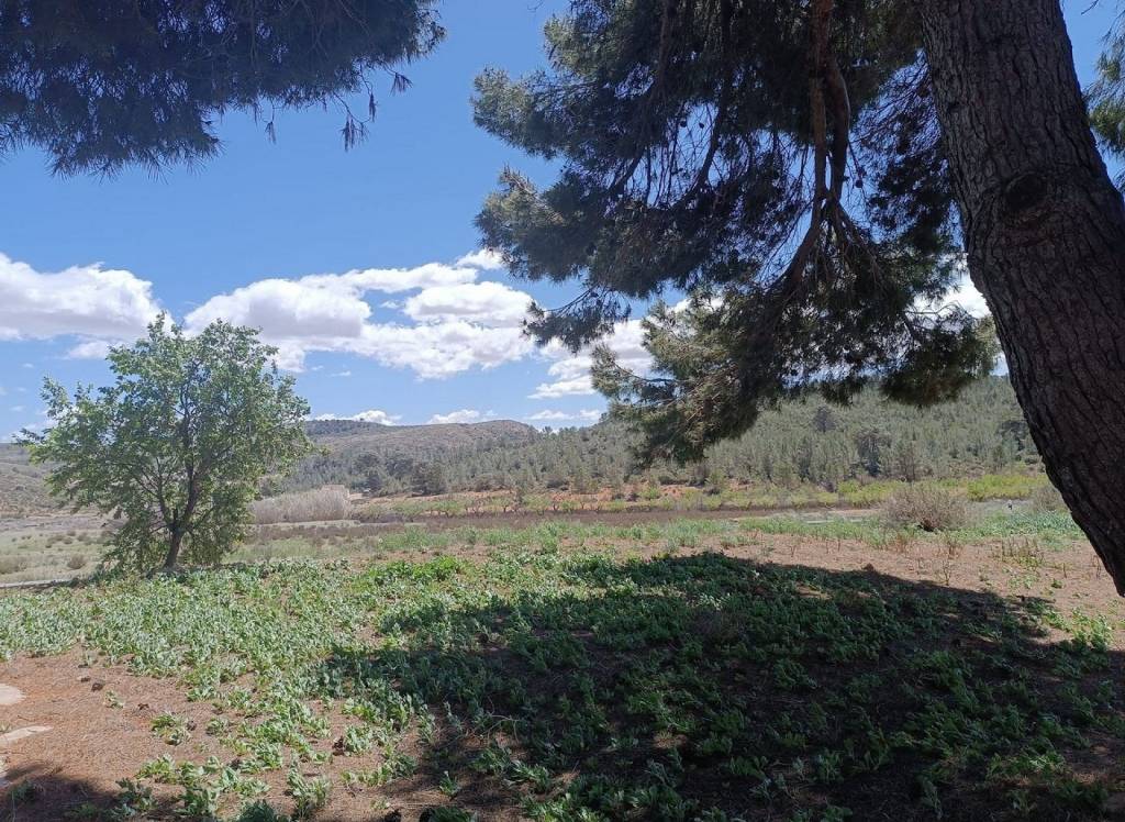 Resale - Country House - Yecla