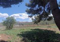 Resale - Country House - Yecla