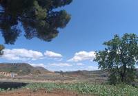 Resale - Country House - Yecla