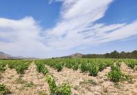 Resale - Country House - Yecla