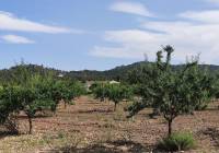 Resale - Country House - Yecla