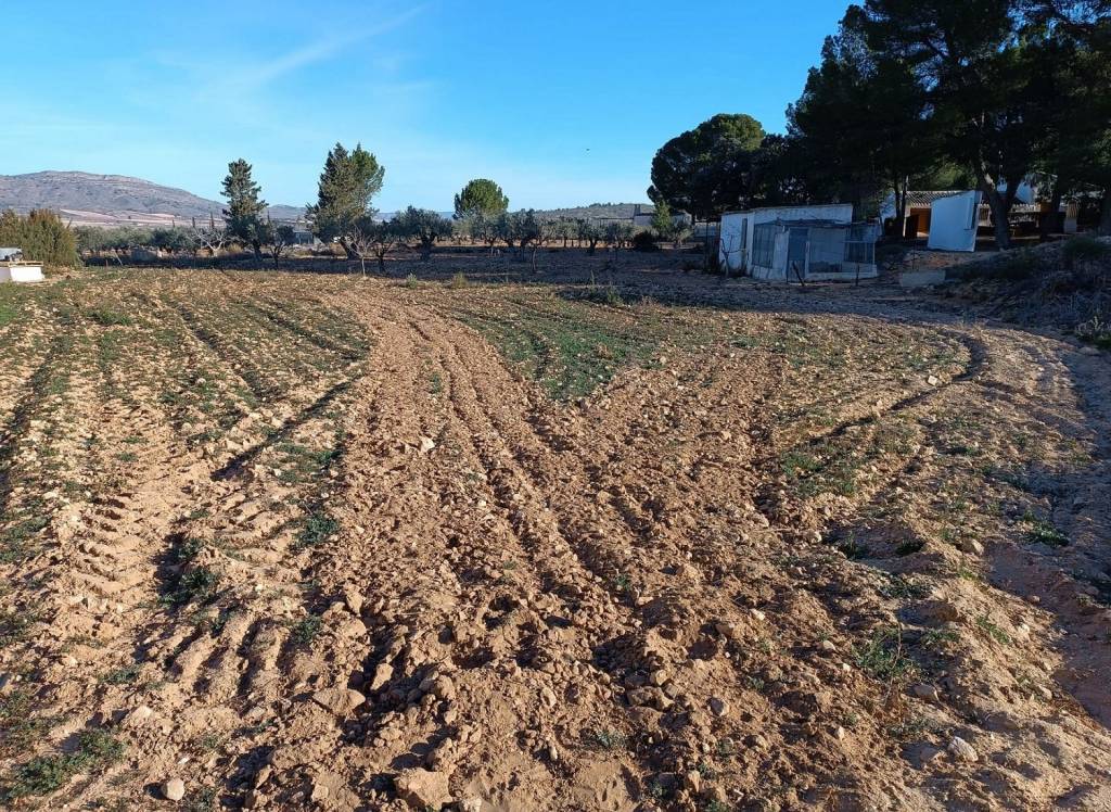 Resale - Country House - Yecla