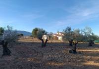 Resale - Country House - Yecla