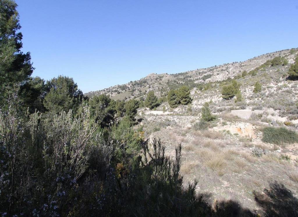 Resale - Detached Villa - Petrer