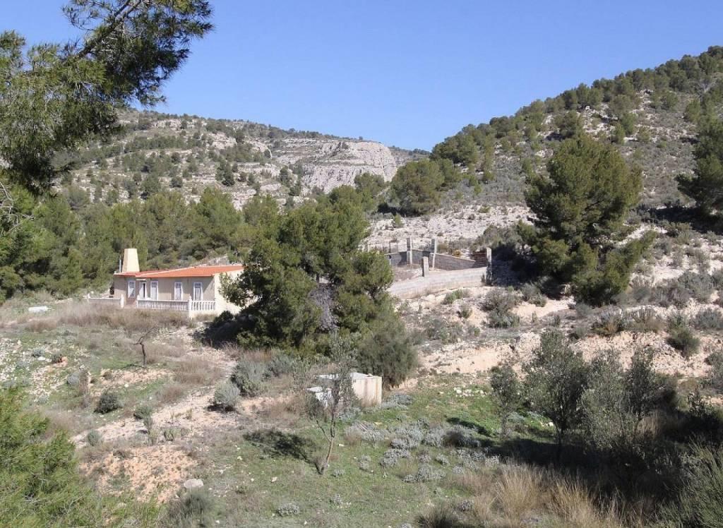 Resale - Detached Villa - Petrer