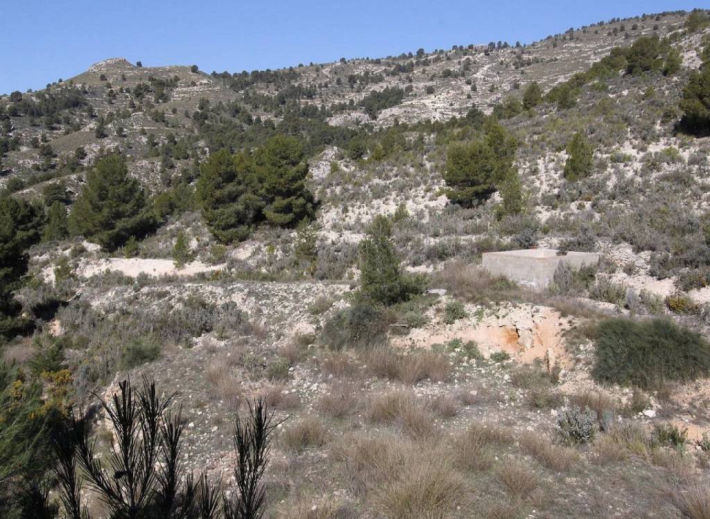 Resale - Detached Villa - Petrer