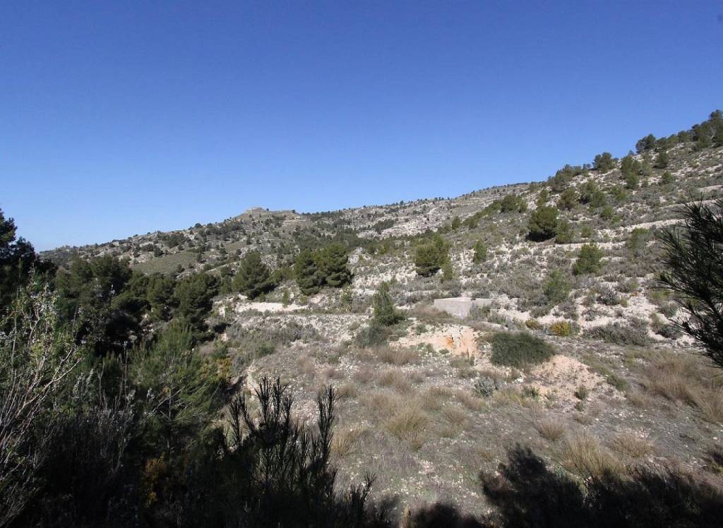 Resale - Detached Villa - Petrer