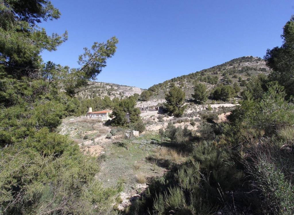 Resale - Detached Villa - Petrer