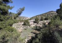 Resale - Detached Villa - Petrer