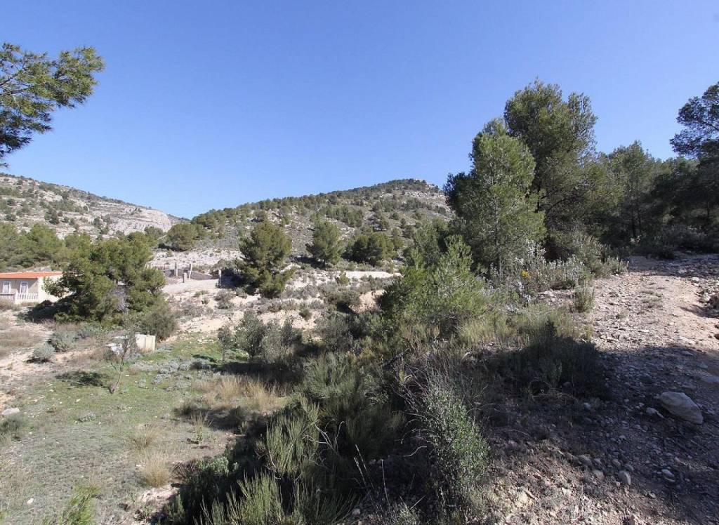 Resale - Detached Villa - Petrer