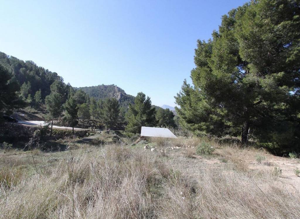 Resale - Detached Villa - Petrer