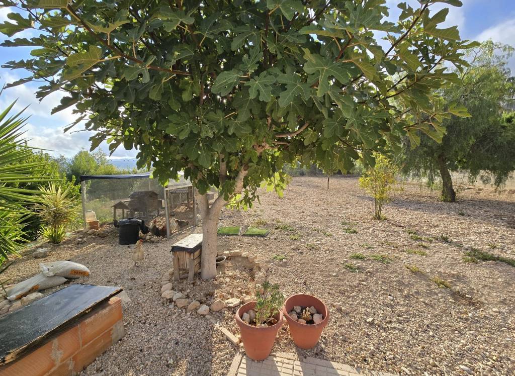 Resale - Detached Villa - Sax