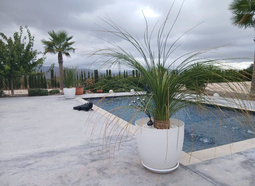 Resale - Detached Villa - Sax