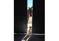 Resale - Detached Villa - Torre Del Rico