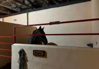 Resale - Detached Villa - Torre Del Rico