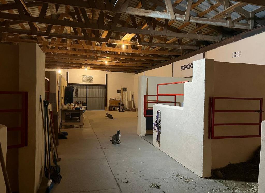 Resale - Detached Villa - Torre Del Rico