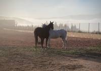 Resale - Detached Villa - Torre Del Rico