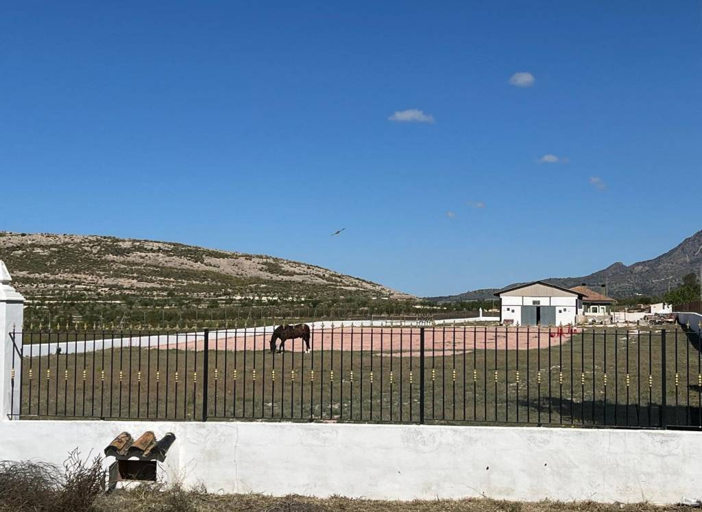 Resale - Detached Villa - Torre Del Rico