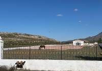 Resale - Detached Villa - Torre Del Rico