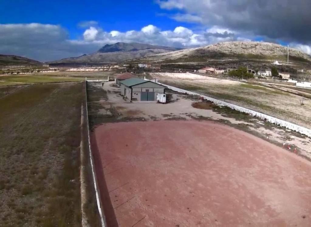 Resale - Detached Villa - Torre Del Rico