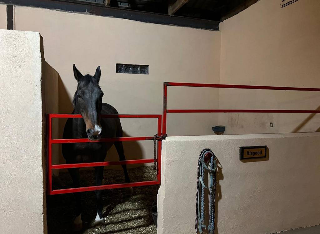 Resale - Detached Villa - Torre Del Rico