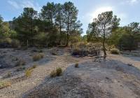 Resale - Detached Villa - Yecla