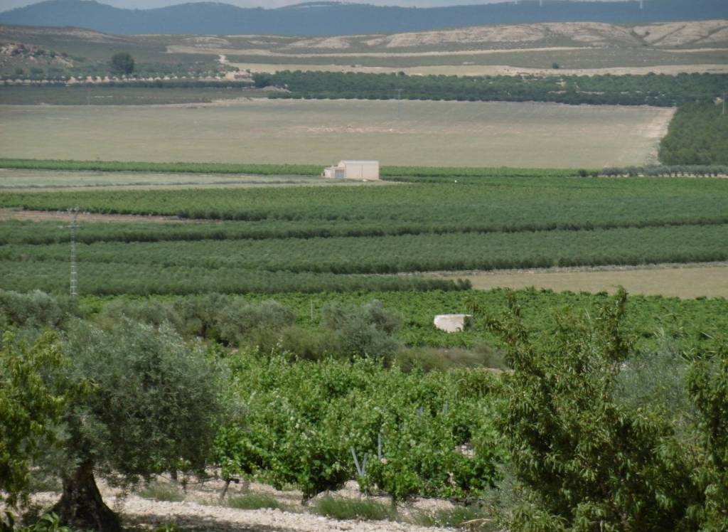 Resale - Detached Villa - Yecla