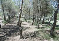 Resale - Detached Villa - Yecla