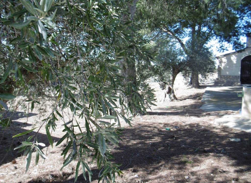 Resale - Detached Villa - Yecla