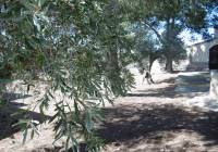 Resale - Detached Villa - Yecla