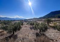 Resale - Finca - Elda