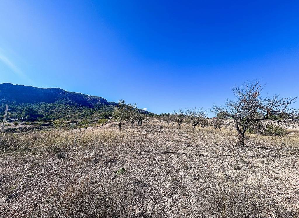 Resale - Finca - Elda