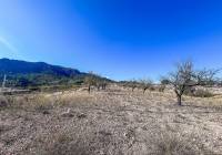 Resale - Finca - Elda