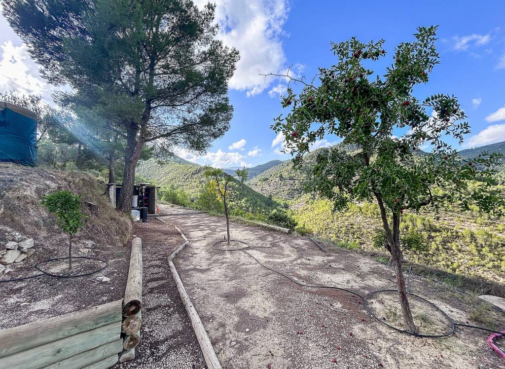 Resale - Finca - Torremanzanas