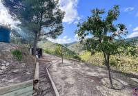 Resale - Finca - Torremanzanas