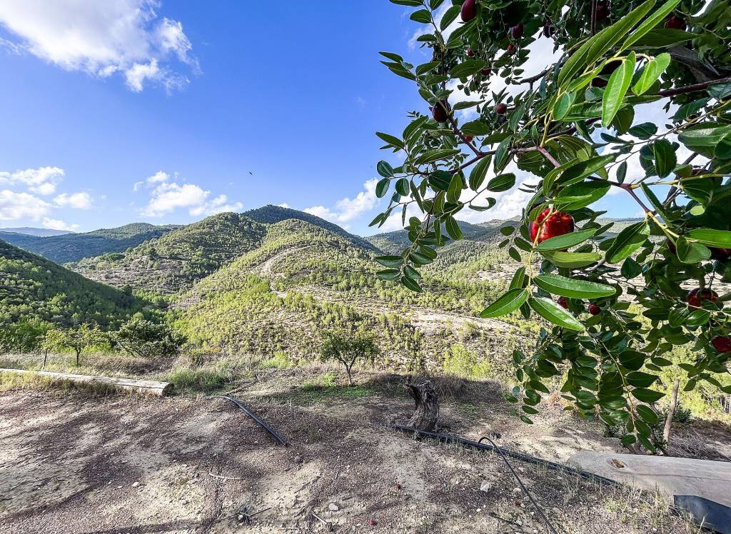 Resale - Finca - Torremanzanas