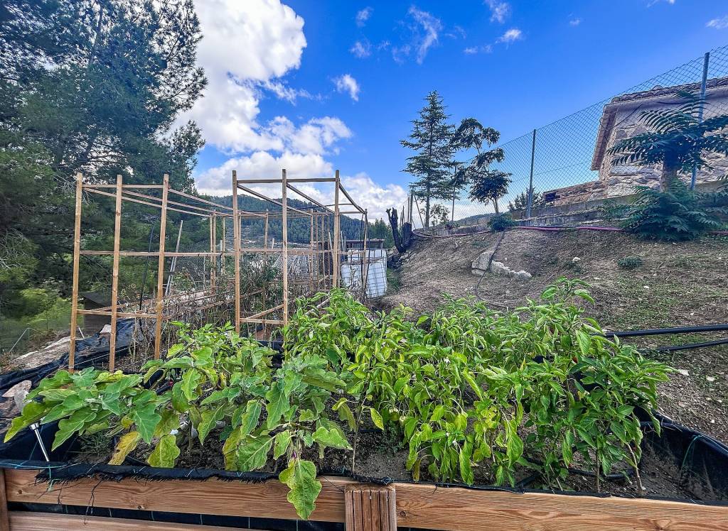 Resale - Finca - Torremanzanas