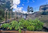 Resale - Finca - Torremanzanas