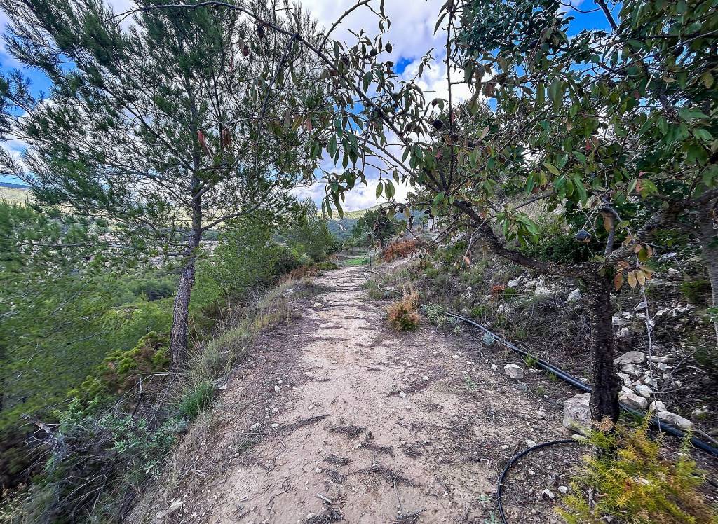 Resale - Finca - Torremanzanas