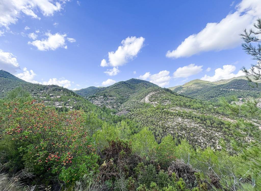 Resale - Finca - Torremanzanas